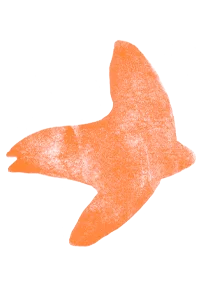 2026_oiseau_orange Sauvageons en ville - découvrir une autre nature en ville à Lausanne et à Morges