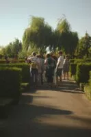@noah_brablan_1__light Sauvageons en ville - découvrir une autre nature en ville à Lausanne et à Morges